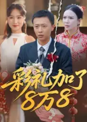 彩礼加了8万8（54集）