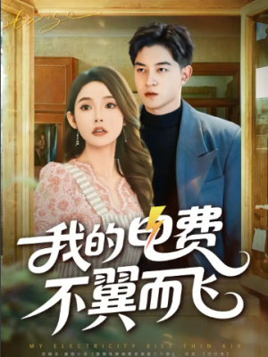 我的电费不翼而飞（60集）