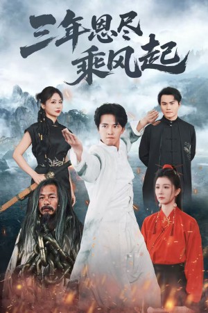 三年恩尽乘风起(60集)