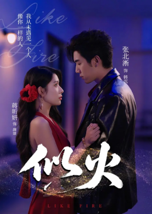 似火（80集）