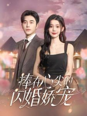 捧在心尖的闪婚娇宠（100集）