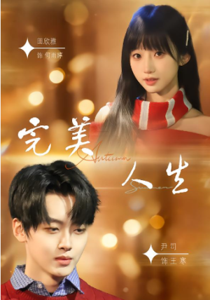 完美人生（85集）