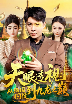 天眼透视从缅国囚徒到九龙之巅（94集）