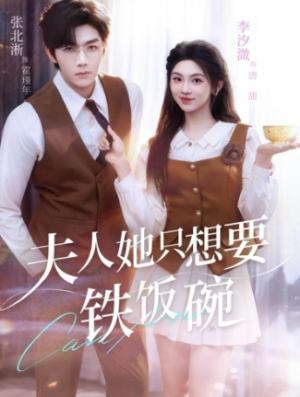 夫人她只想要铁饭碗（60集）