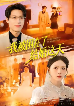 我被困在了结婚这天（40集）