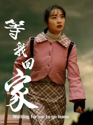等我回家(23集)