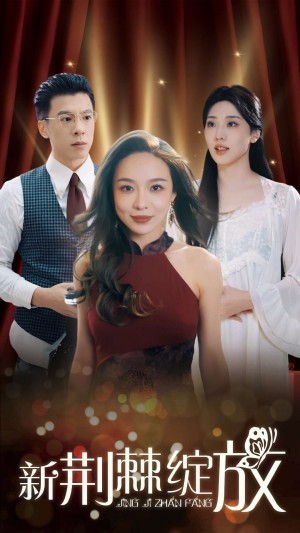 新荆棘绽放（49集）