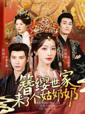 簪缨世家来了个姑奶奶（81集）