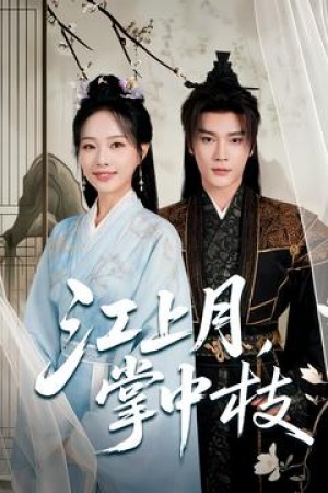 江上月掌中枝(80集)