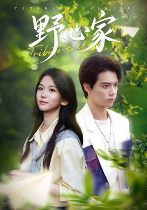 野心家（65集）