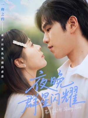 夜晚群星闪耀(70集)