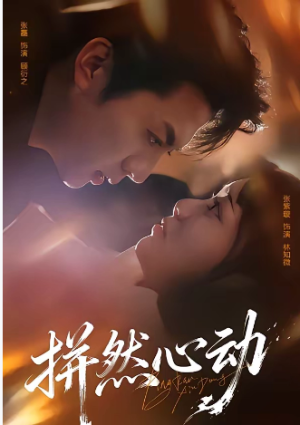 拼然心动（56集）