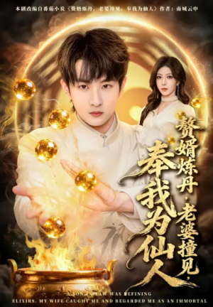 赘婿炼丹老婆撞见奉我为仙人（59集）