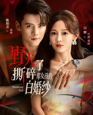 野犬撕碎了那女孩的白婚纱（78集）