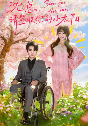 沈总请签收你的小太阳（80集）