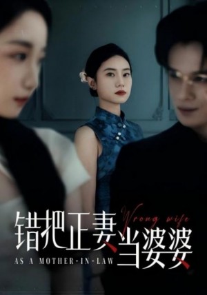 错把正妻当婆婆(46集)