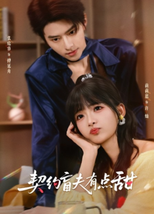 契约盲夫有点甜（63集）