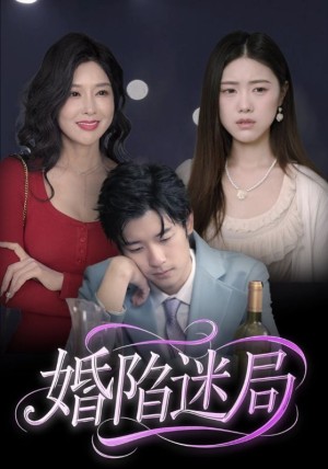 婚陷迷局（41集）