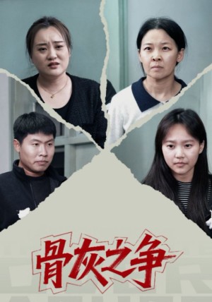 骨灰之争（30集）