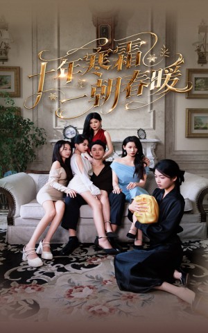 十年寒霜一朝春暖（76集）