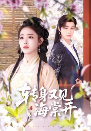 转身又见海棠开(79集)