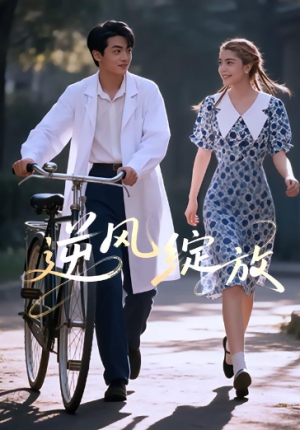 逆风绽放（55集）