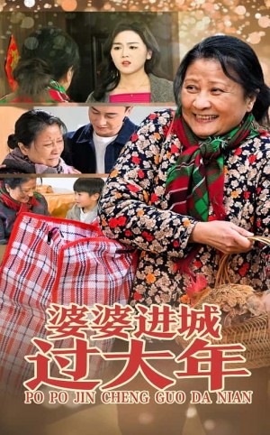 婆婆进城过大年（33集）