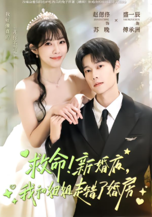 救命新婚夜我和姐姐走错了婚房（58集）