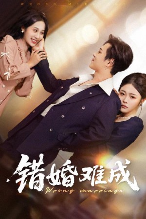 错婚难成(45集)