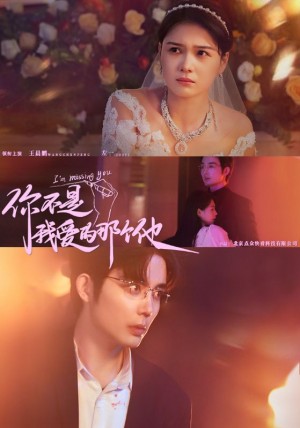 你不是我爱的那个他（54集）
