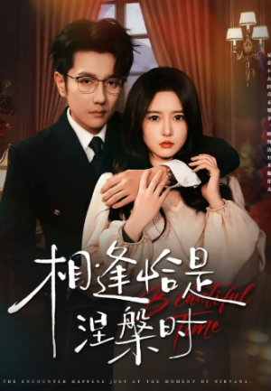 相逢恰是涅槃时（63集）