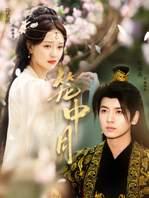 笼中月（65集）