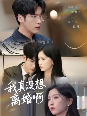 我真没想离婚啊（60集）