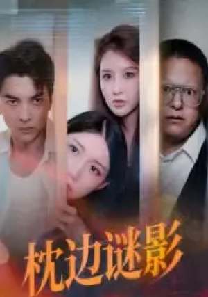 枕边谜影&我撞破了妻子的秘密（35集）