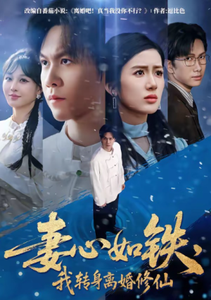 妻心如铁我转身离婚修仙（81集）