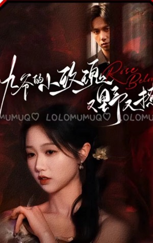 九爷的小玫瑰又野又撩（100集）