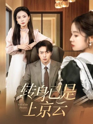 转身已是上京云（88集）