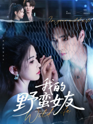 我的野蛮女友（80集）