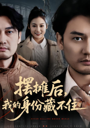 摆摊后我的身份藏不住（43集）