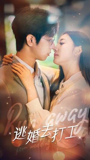 逃婚去打工（65集）