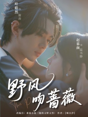 野风吻蔷薇(78集)