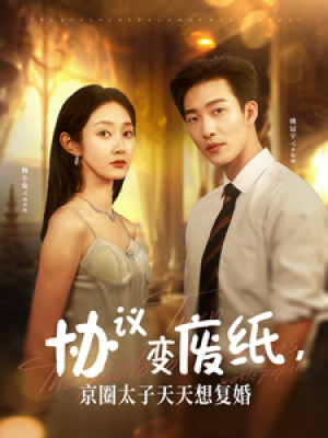 协议变废纸京圈太子天天想复婚（87集）