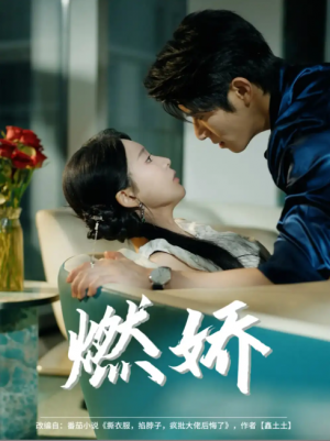 燃娇(81集)