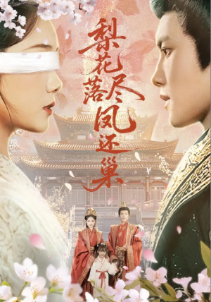 梨花落尽凤还巢（79集）