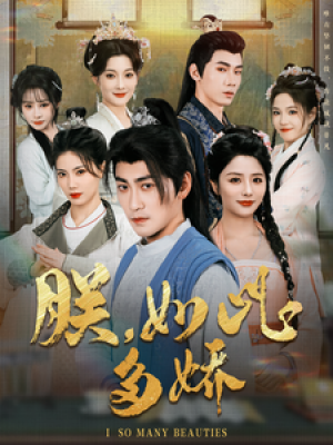 朕如此多娇（朕，如此多娇）（90集）