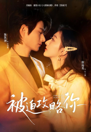 被迫攻略你（57集）