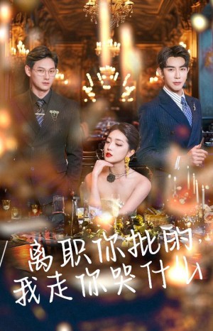 离职你批的我走你哭什么（30集）