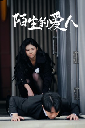 陌生的爱人（60集）