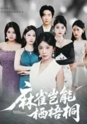 麻雀岂能栖梧桐（31集）