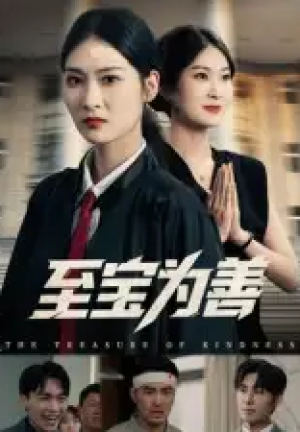 至宝为善（60集）